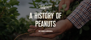 A History of the Peanut in Oklahoma